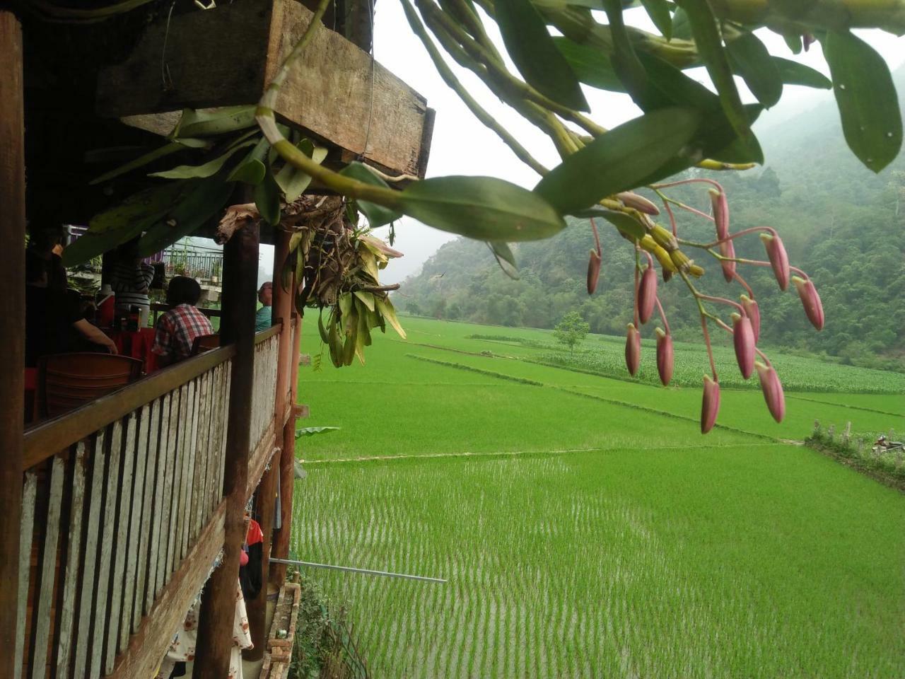 Tran Xuan Homestay Ba Be Bagian luar foto